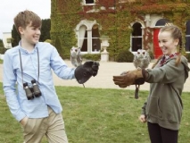 Falconry Family Experience at Lyrath Estate